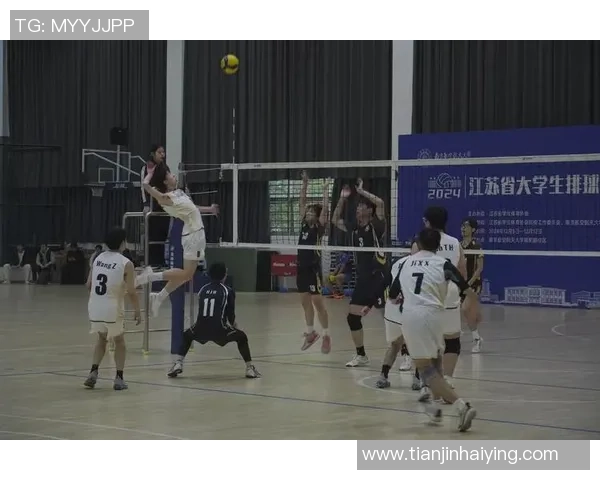 排球之魂：深入了解成都排球队的团队精神与竞技意识