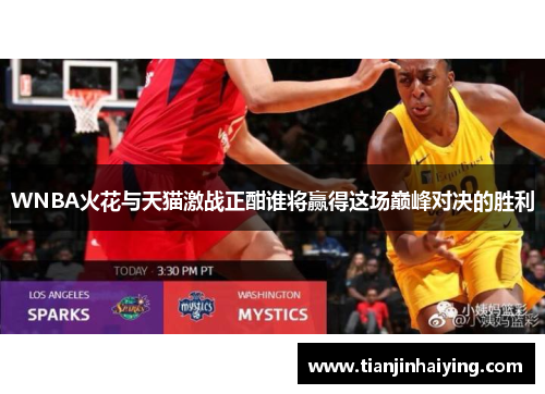 WNBA火花与天猫激战正酣谁将赢得这场巅峰对决的胜利