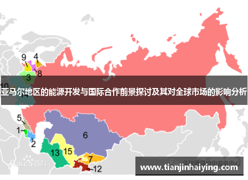 亚马尔地区的能源开发与国际合作前景探讨及其对全球市场的影响分析